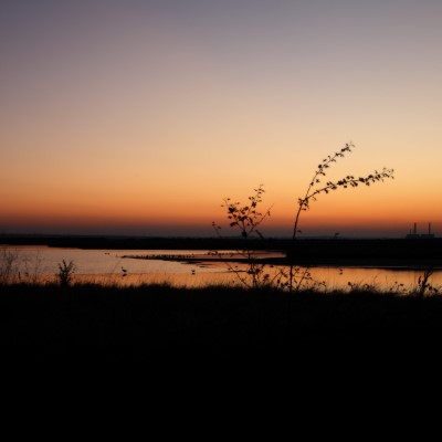 1920 x 1080 HD Wallpapers 1040